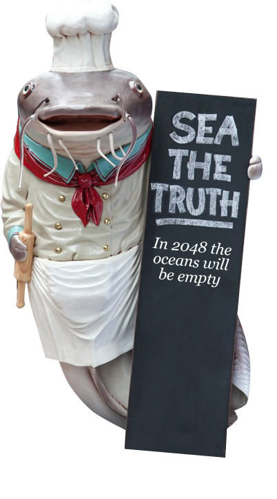 Sea The Truth Documentary Video